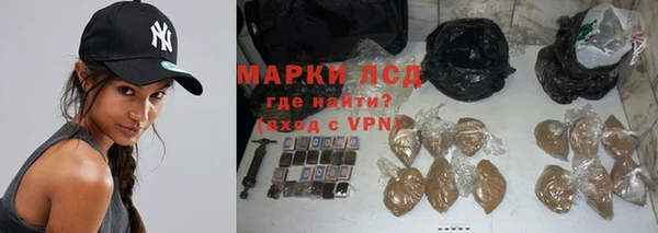 шишки Богородицк